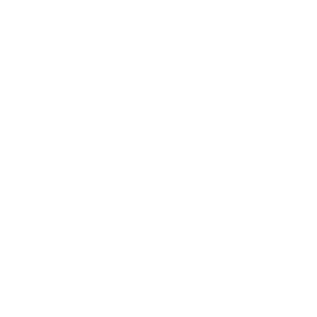 LOGO - ESCRITA - ZENORD - BRANCO SEM FUNDO