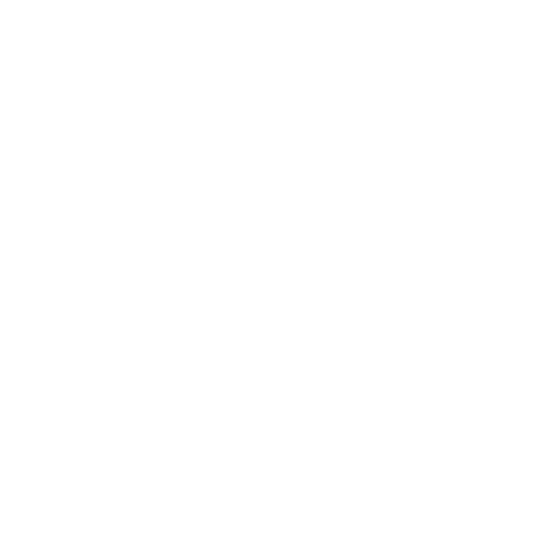 LOGO NAKIA COMPLETO - BRANCO SEM FUNDO